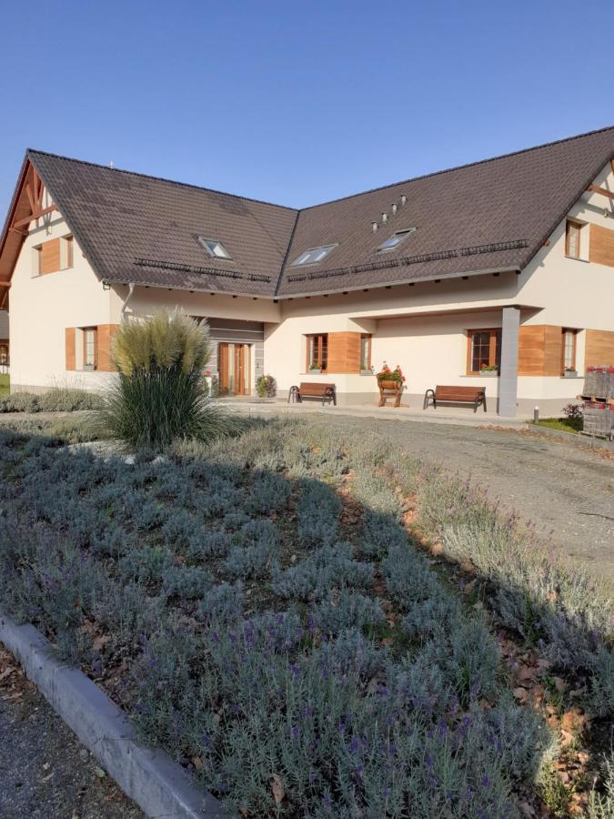Agroturystyka Aura Kostrzyca Εξωτερικό φωτογραφία