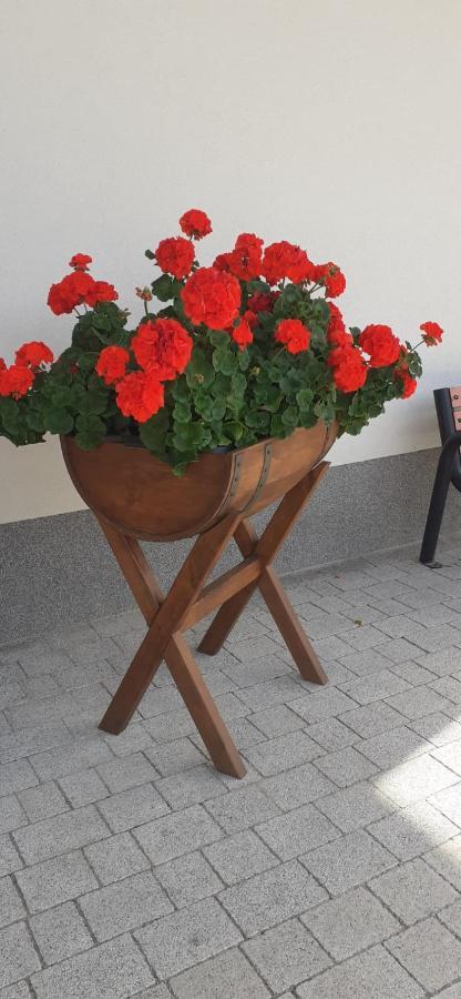 Agroturystyka Aura Kostrzyca Εξωτερικό φωτογραφία